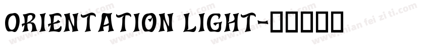 Orientation Light字体转换